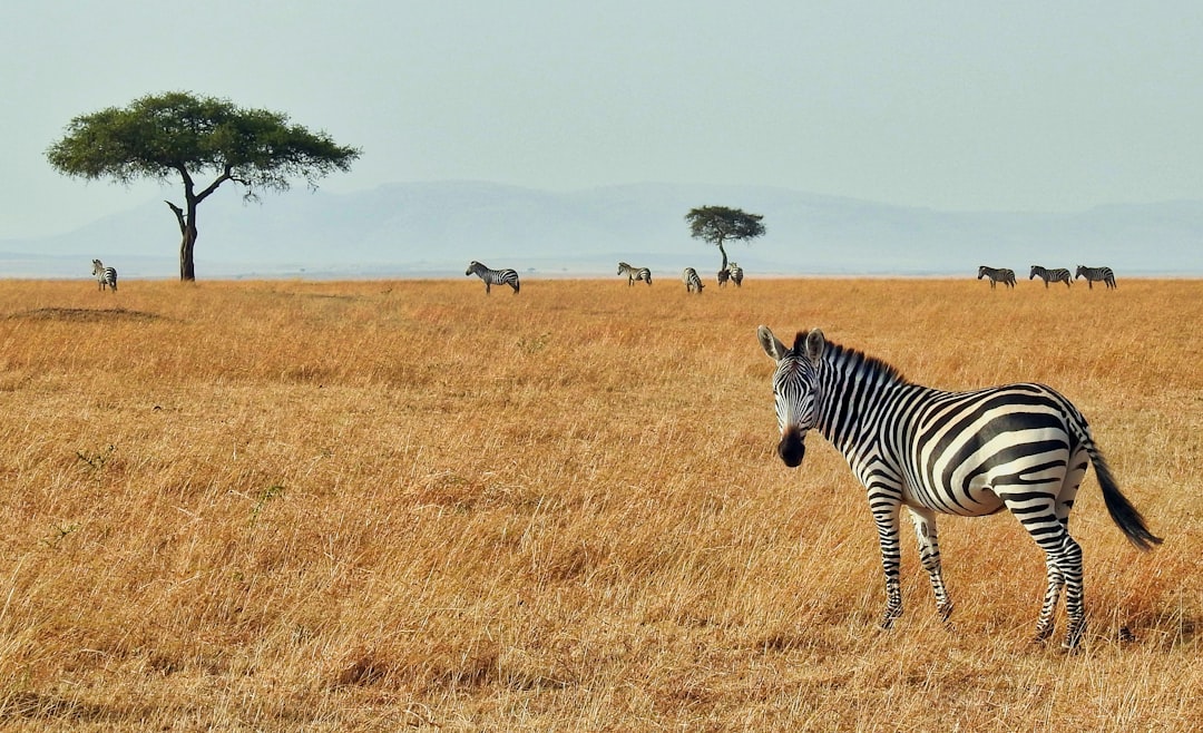 Sustainable Travel certification
